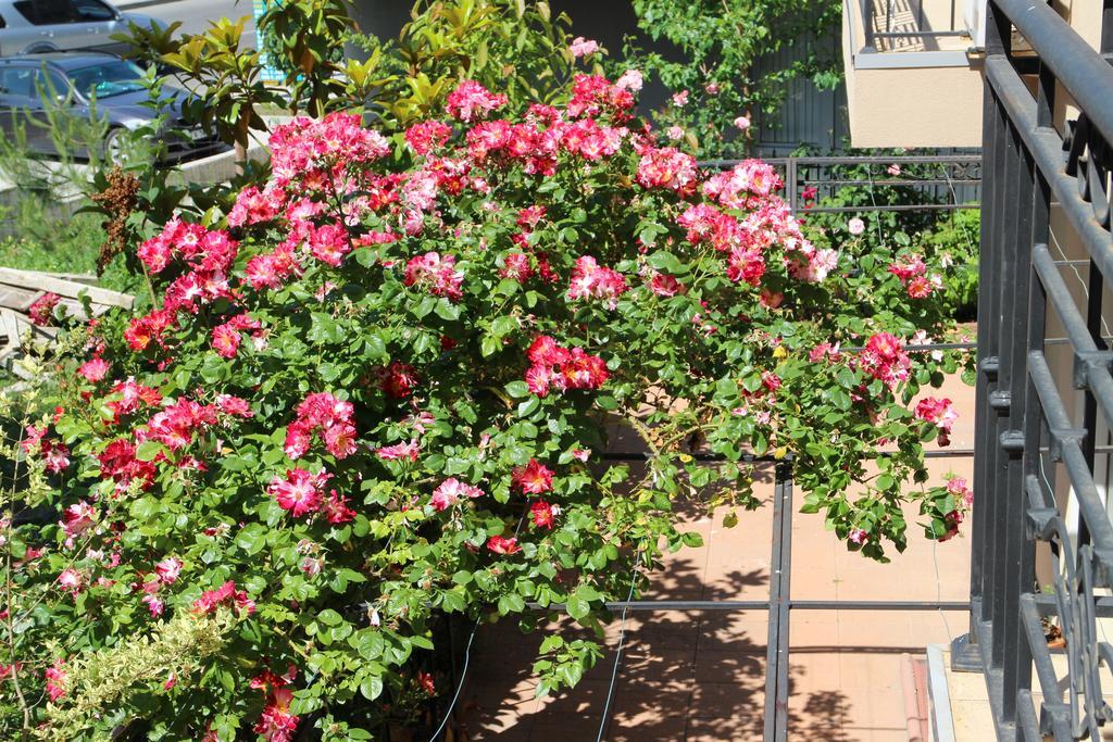 Flowers Apartments Neszebar Kültér fotó
